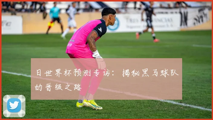日世界杯预测专访：揭秘黑马球队的晋级之路